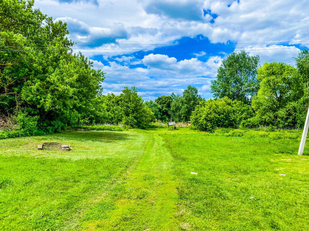 Улица деревни Толбузино весной