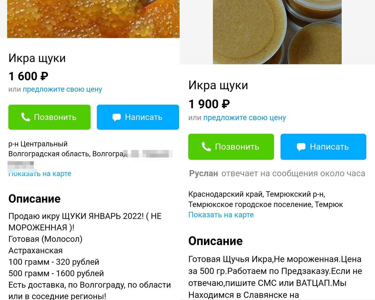 Как сделать икру из щуки