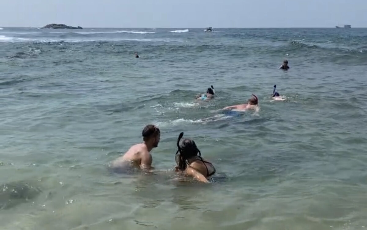 Вон смори: все наши