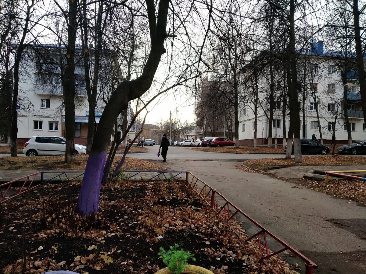 из личного архива