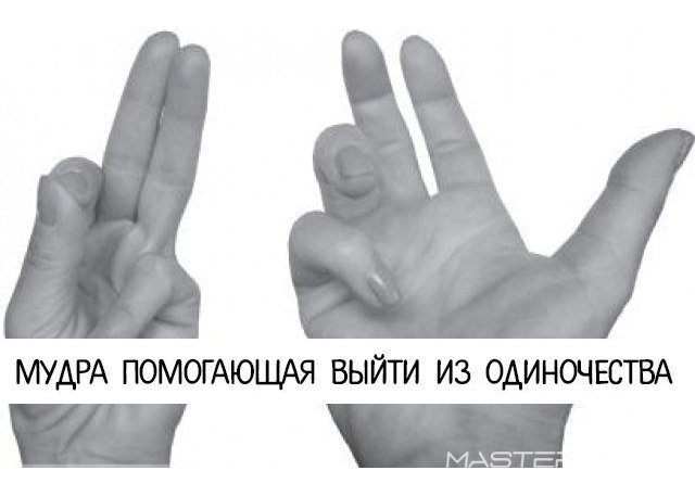 мудра лотоса. мудрое общение. мудры для привлечения денег. китайские мудры пальцев. мудры для здоровья жизненных сил и внутреннего спокойствия.