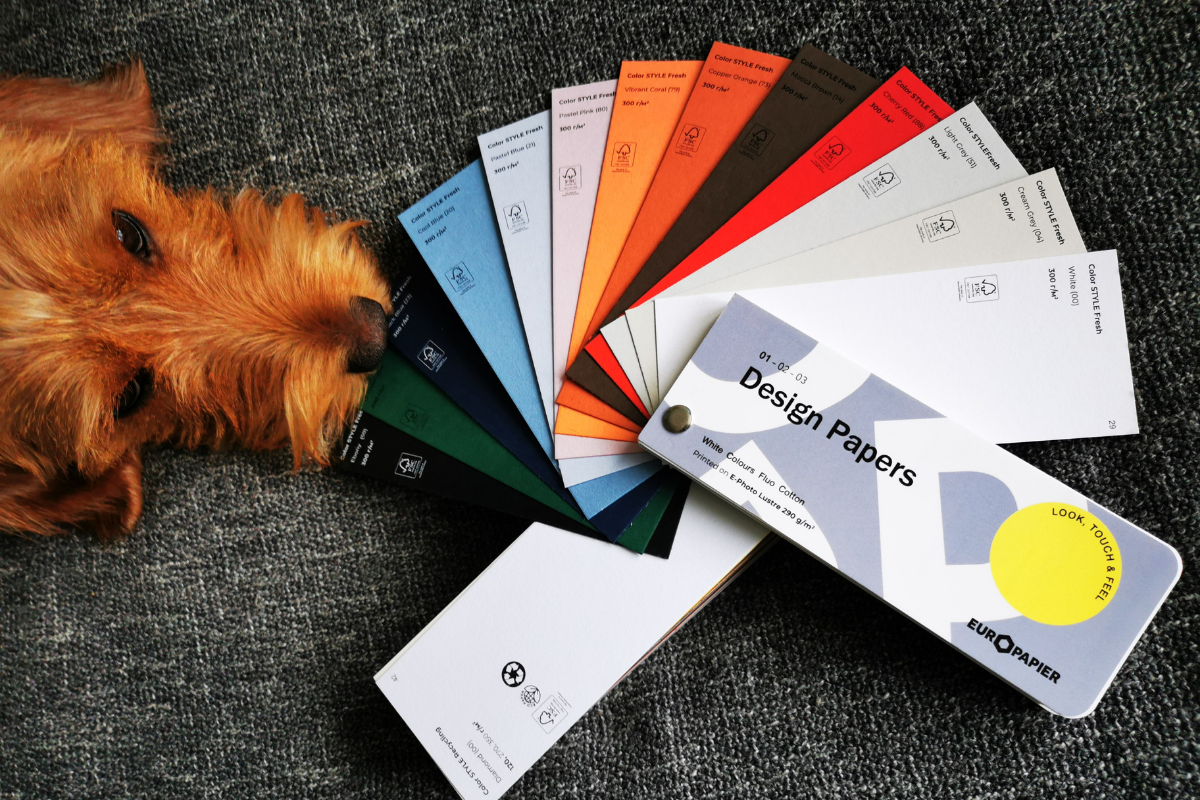 Color Style – собственный бренд компании Европапир