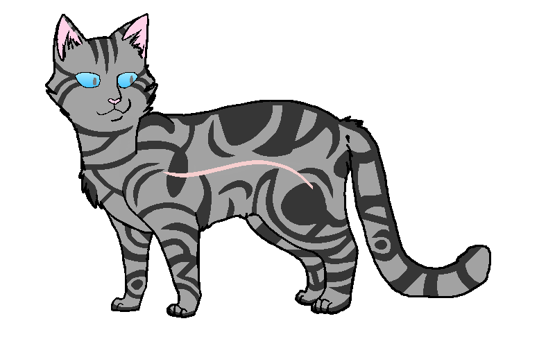 коты воители вики воробей. Jayfeather коты воители. коты воители воробей. коты воители воробвейная. коты воители вики воробей.