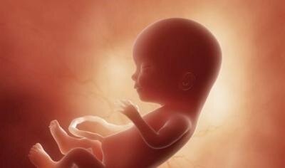 https://autogear.ru/article/424/081/na-kakoy-nedele-poyavlyaetsya-serdtsebienie-u-ploda-normyi-i-vozmojnyie-otkloneniya/
