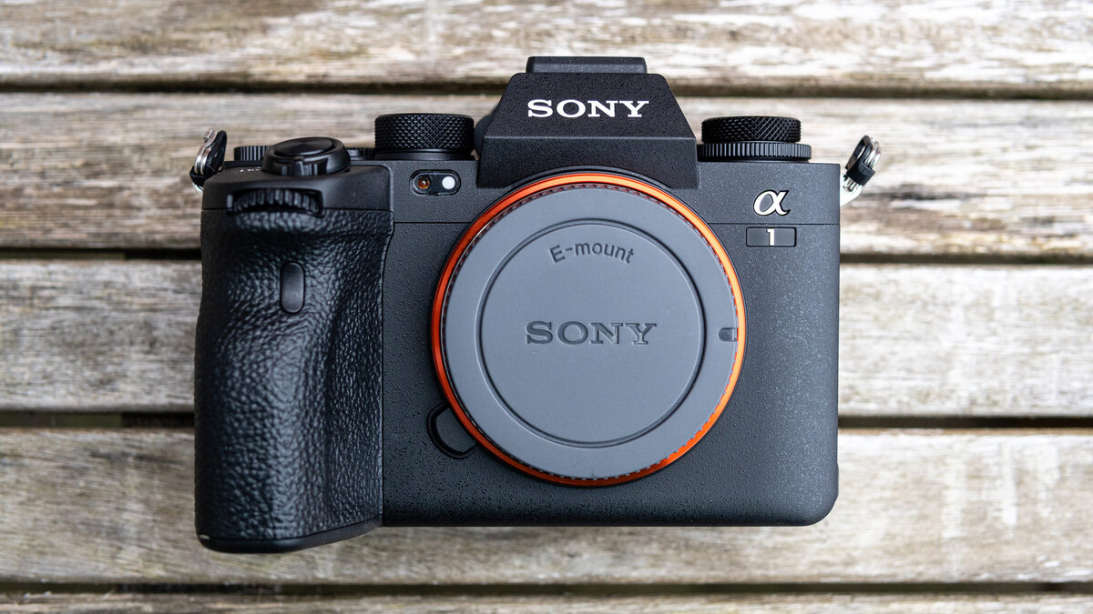 Какой фотоаппарат Sony выбрать: от мыльниц до полного кадра | Фотосклад ...