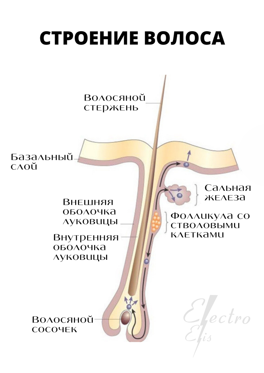 Рис.1