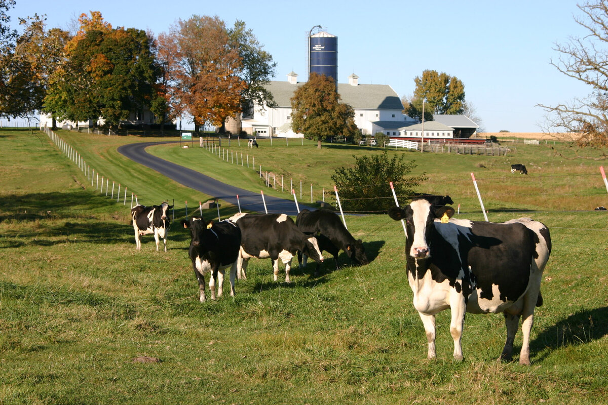 Образец 2 выполнения задания 4 (высокого уровня сложности) устной части ...