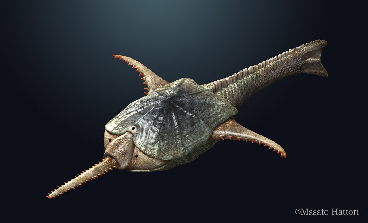 Что я такое? 