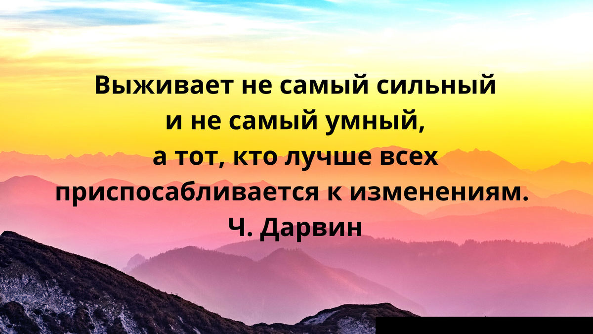 Цитата в тему. Психолог Софья Саская. 