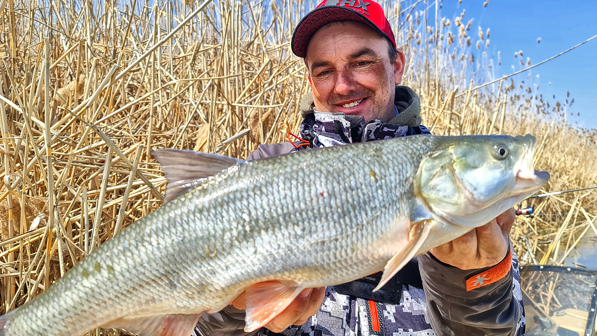 вот таких красавцев мы ловили там