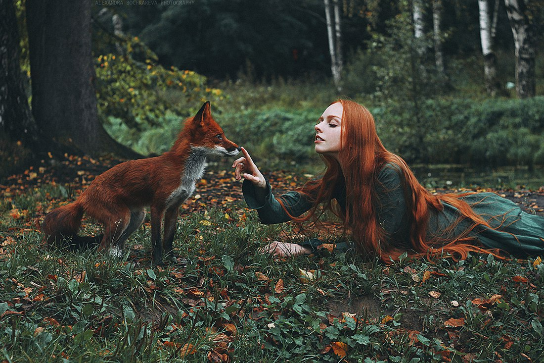 фото Александра Бочкарёва