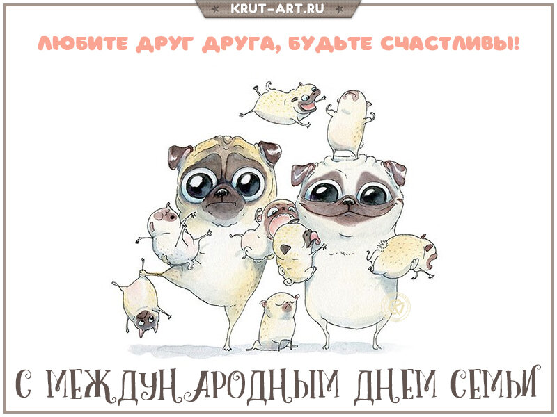 С днем семьи прикольные картинки с надписями смешные