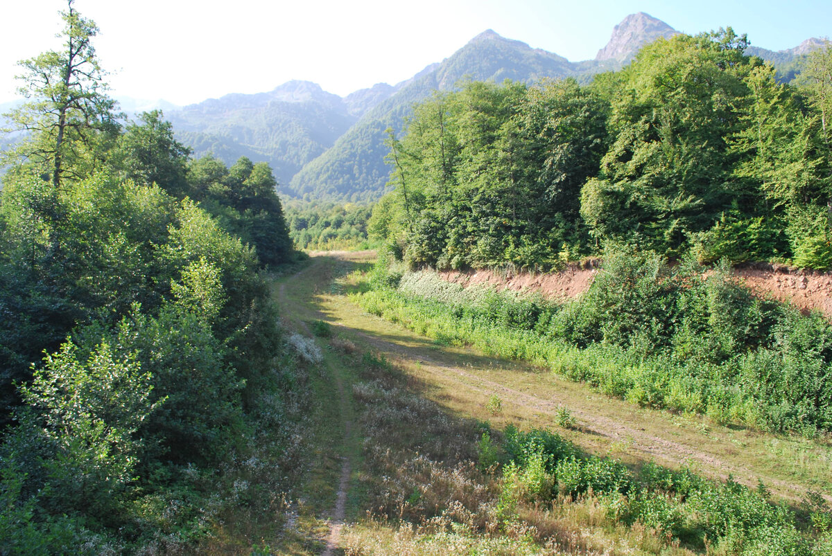 Для тех, кто не догадался - зимой это выкат горнолыжной трассы