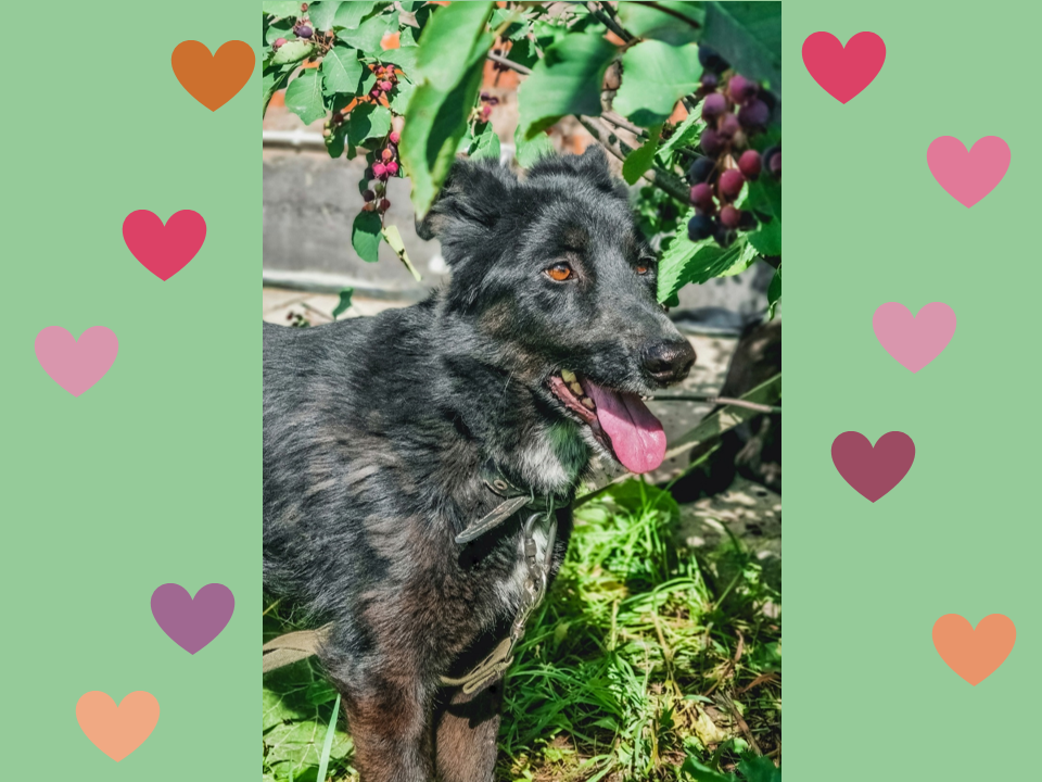 Глаза чайного цвета!