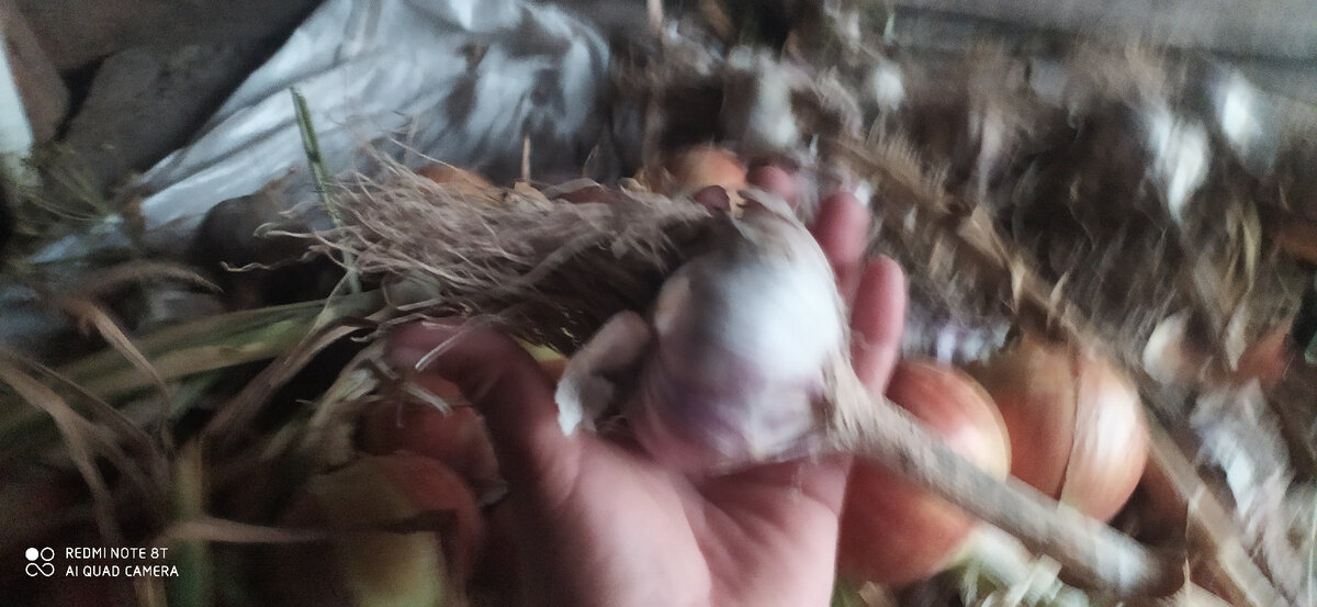 -2-3