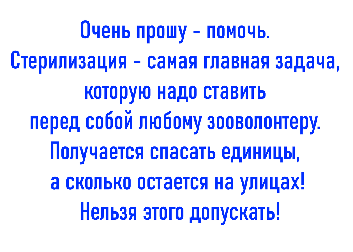 Не всем так везет, как Картошке и Тайке. Очень прошу помочь. |  Animalrescueed | Дзен