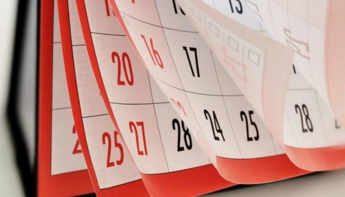 Фото — zen.yandex.by