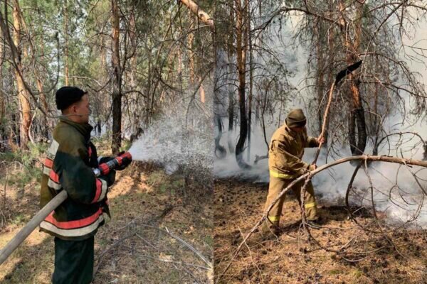    Фото: МЧС Республики Казахстан