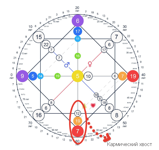 9 21 12 кармический хвост совместимость. Карта здоровья в матрице судьбы расшифровка. Карта здоровья в матрице судьбы. Кармические хвосты в матрице судьбы. Схема матрицы судьбы с расшифровкой домов.