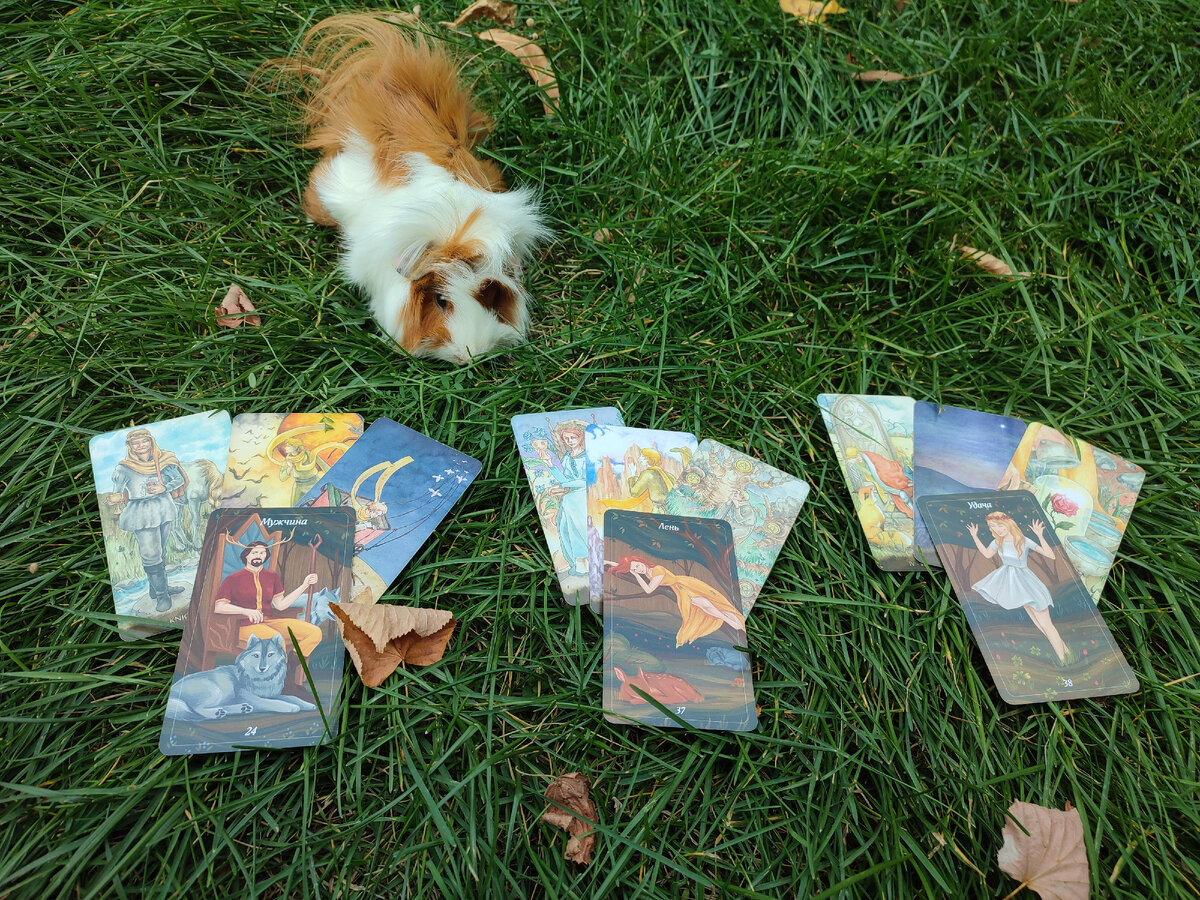 А вот и ответы