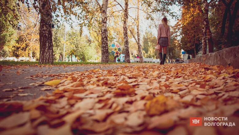 Фото: Антон Засимов / novostivolgograda.ru
