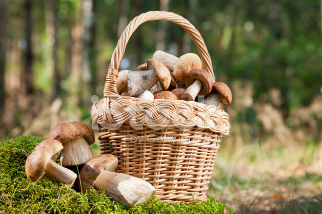 Фото:Интернет 