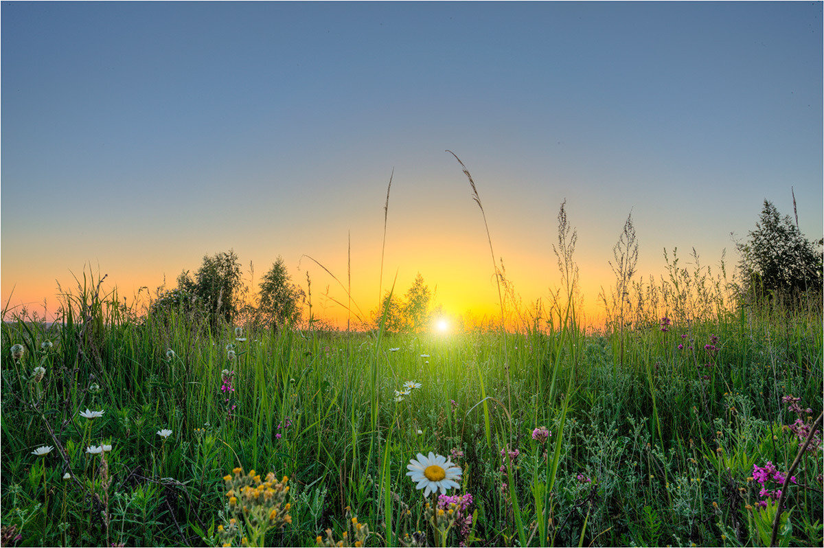 Снова серая, мокрая осень постучала ко мне в окно...