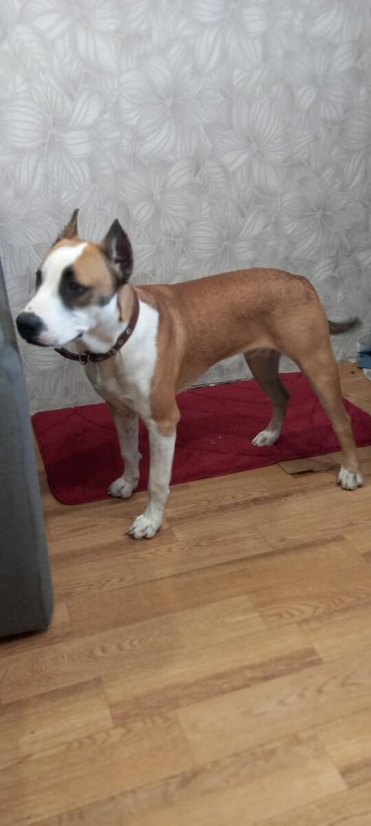 Можно листать