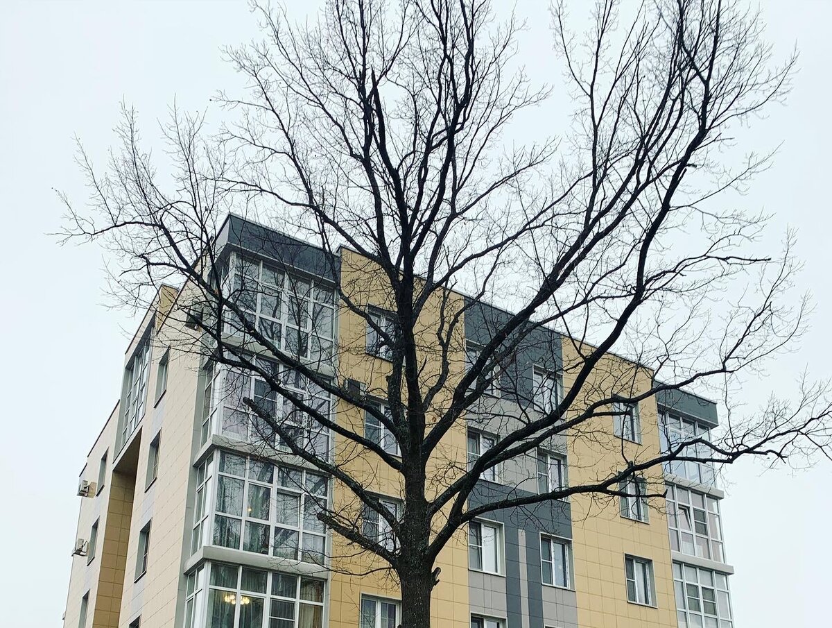 «Кубик» - один из множества одинаковых новых домов средней этажности в новых кварталах