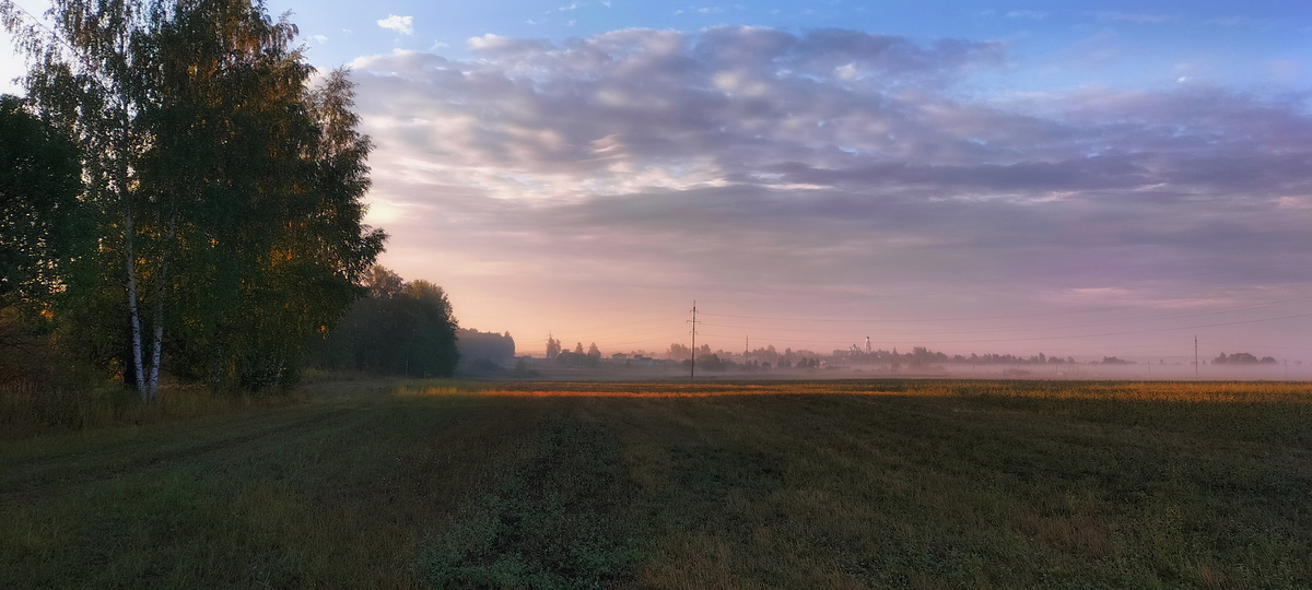 Яндекс Картинки.