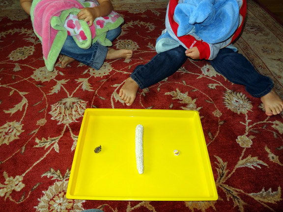 Покажите сначала всего 3 предмета. фото с https://www.giftofcuriosity.com/