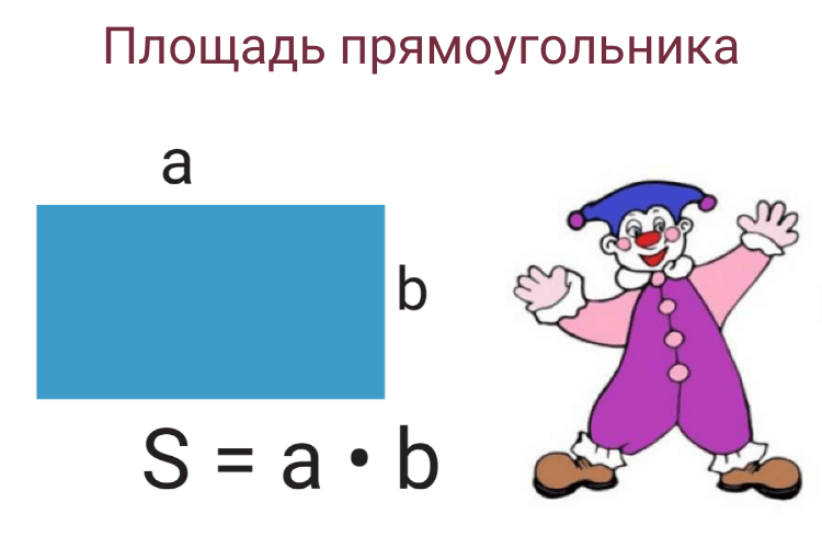 Как найти площадь прямоугольника