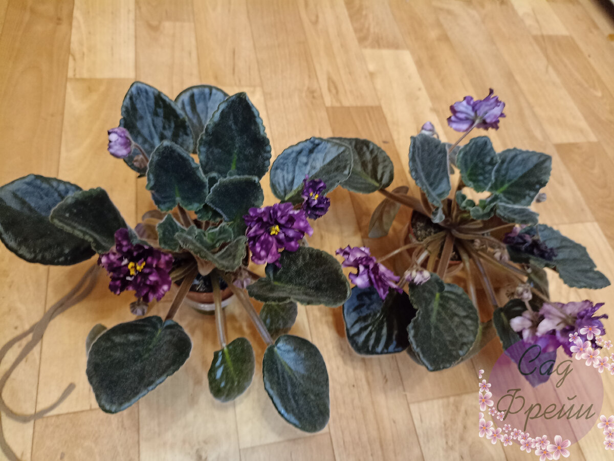 В новый дом давно уже пора