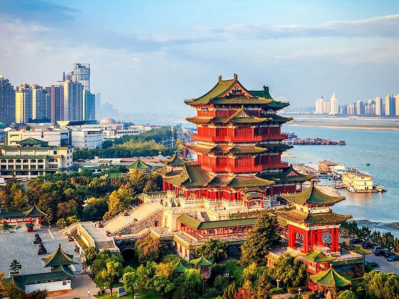 Источник фото: https://yandex.ru/images/