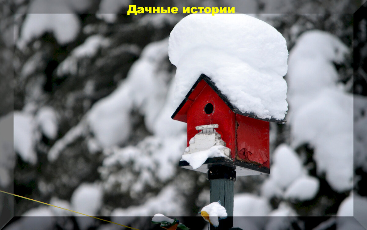 https://vk.com/photo-159774511_457257061