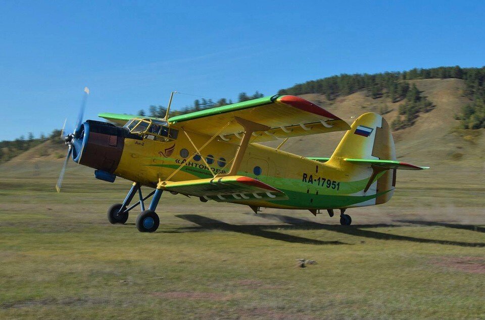     Фото: t.me/aviatorshina