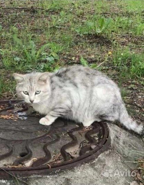 Как же страшно быть бездомным...