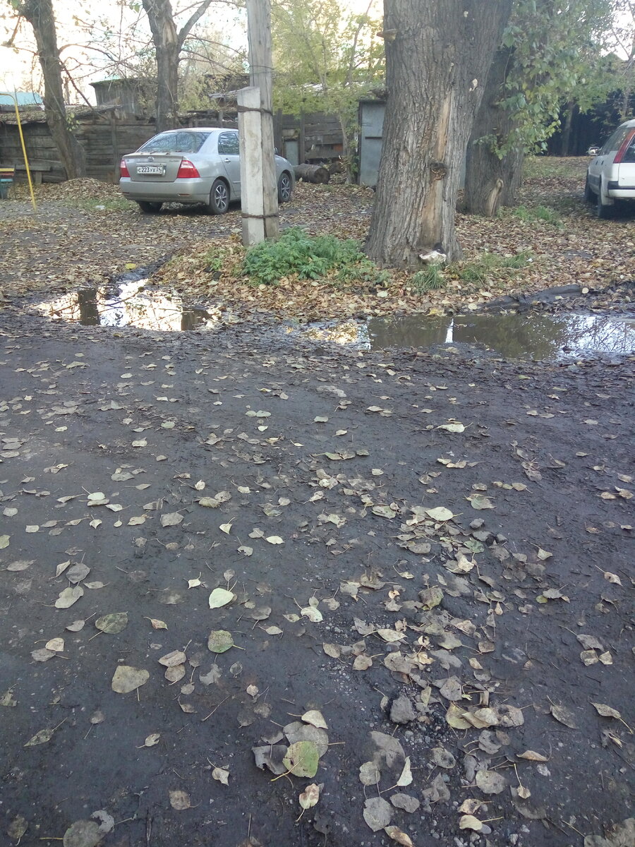 Где-то под зловонной лужей выпускной канализационный колодец.