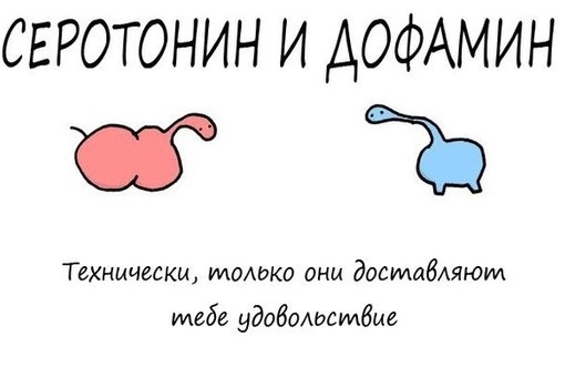 Время прочтения ~ 5-6 минут.