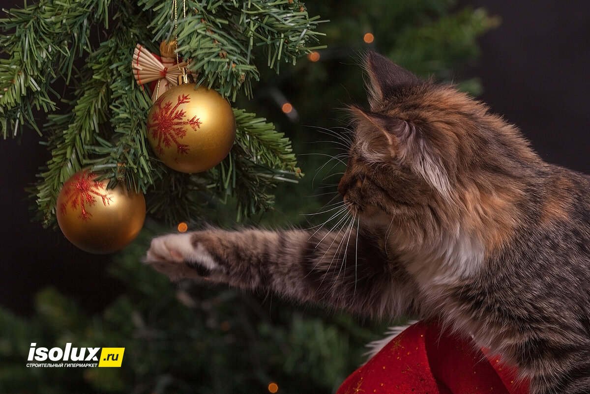 Если в доме есть домашние животные, спрятать от них елку практически невозможно