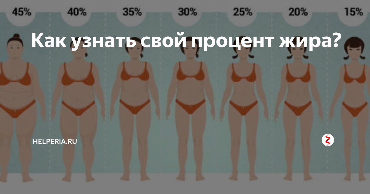 Как вычислить процент жира. Процент жира. Процент жира в теле. Процент жира в теле девушки. Процент жира в женском организме.