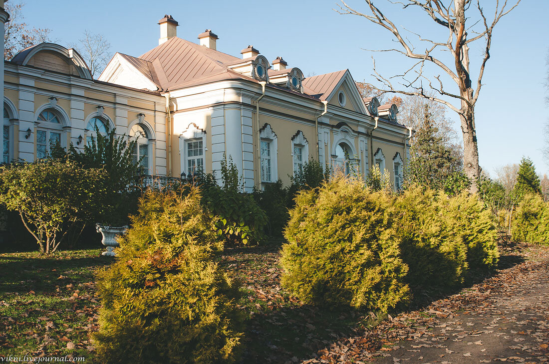 Усадьба елизаветино фото