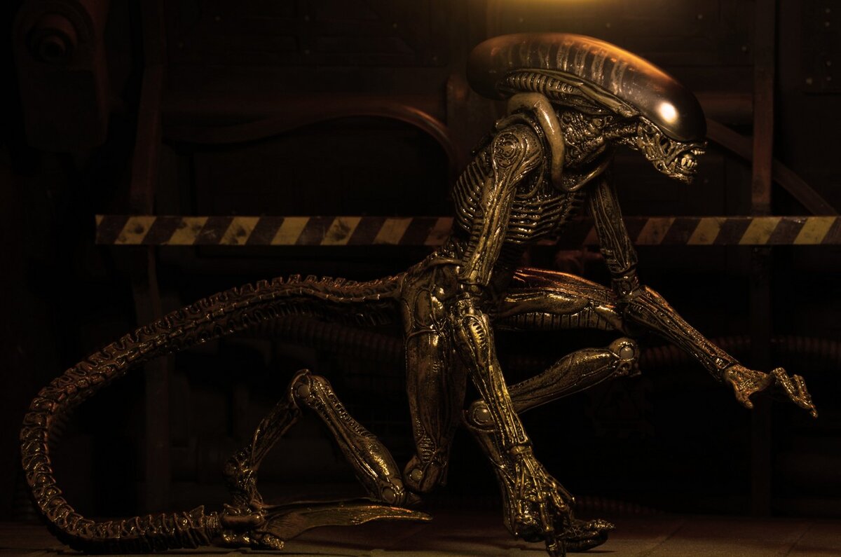 Чем хорош чужой 3. Ксеноморф трутень чужой 1979. Чем хорош чужой 3. Чужой 3 1992 постер. Чужой 3 фильм 1992 сигурни уивер.