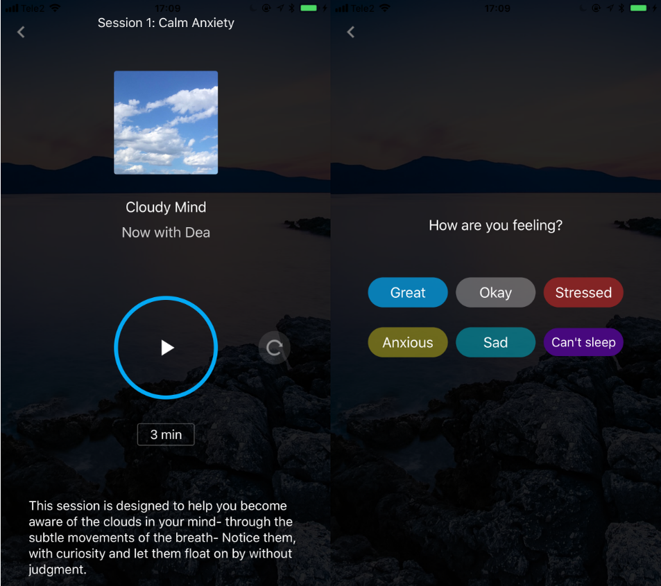 Аура звуки природы. Dsp эквалайзер для андроид магнитолы. Программа леса. Программа аура для компьютера. Эквалайзер aura dsp77.