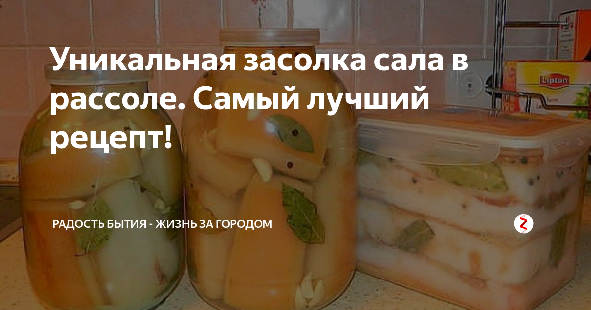 Рецепт засолки сала в рассоле в домашних условиях в банке с чесноком с фото пошагово