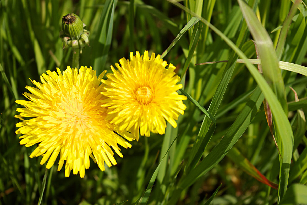 Фото: zdorovyiskelet.ru