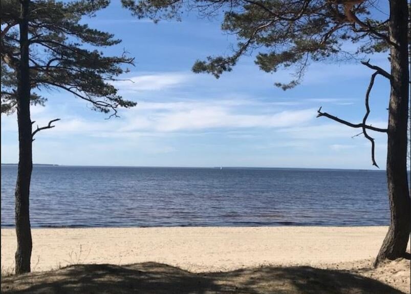 Белеет парус одинокий ...