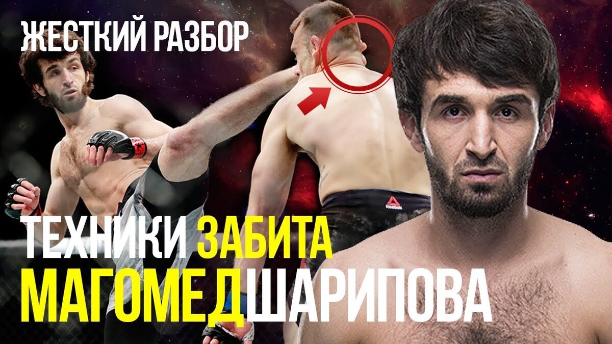 Забит Магомедшарипов статистика.