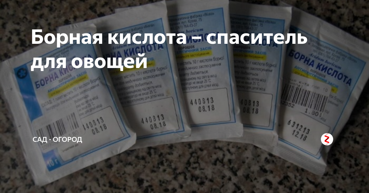 Борная кислота садовая применение. Борная кислота в саду и огороде. Борная кислота для сада и огорода применение. Борная кислота и овощи. Борная кислота жидкая применение в саду и огороде.