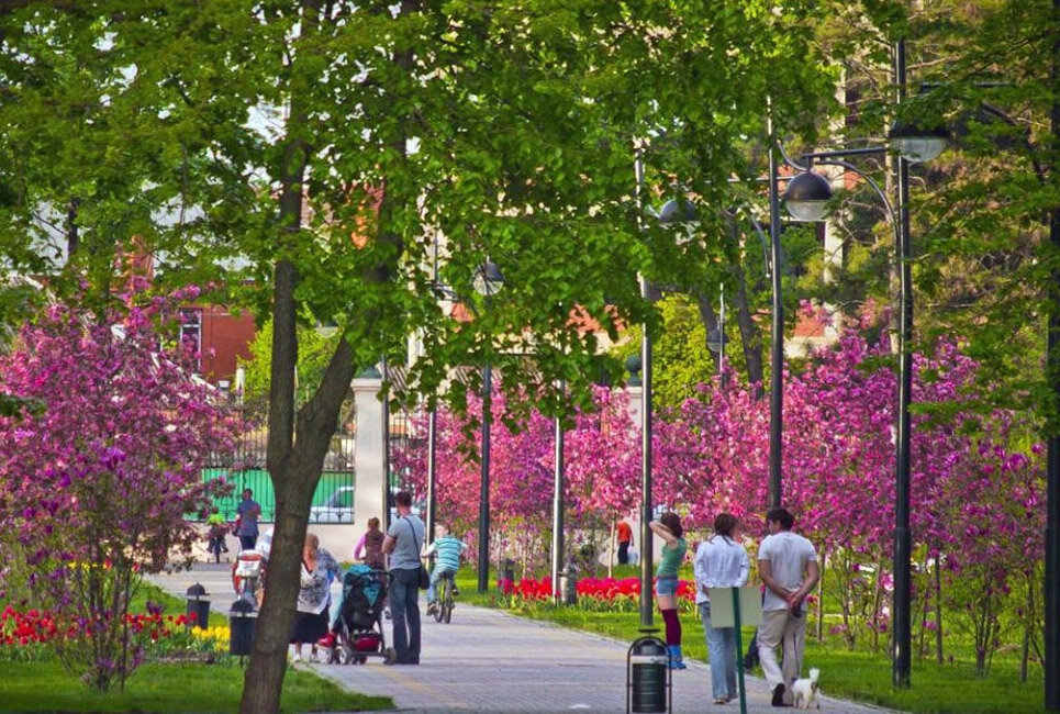 Красота природы Краснодара🌺🌼🌷🦚🐿🐦 Ботанический сад. Фото: irina_korepanova17 | ВКонтакте